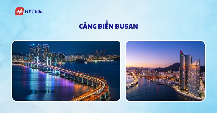 Top 5 khu vực đáng sống dành cho du học sinh tại Hàn Quốc cang bien busan co nganh logistics va ky thuat cong nghiep phat trien manh