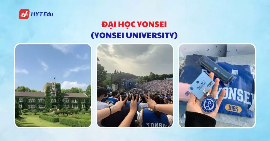 dai hoc yonsei yonsei university