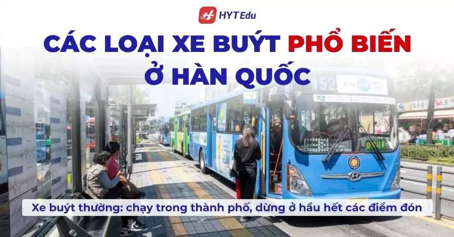 cac loai xe buyt pho bien o han quoc xe buyt thuong