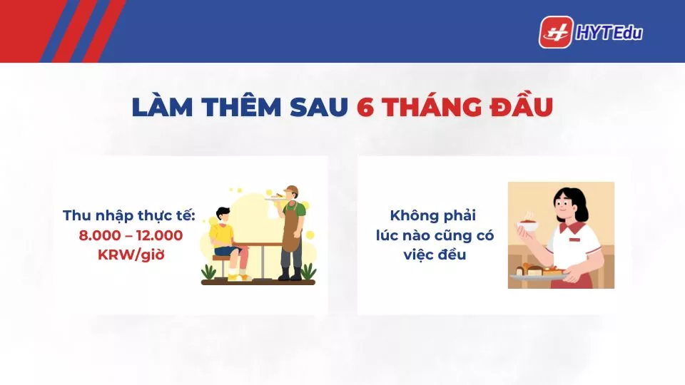 làm thêm du học sinh Hàn Quốc