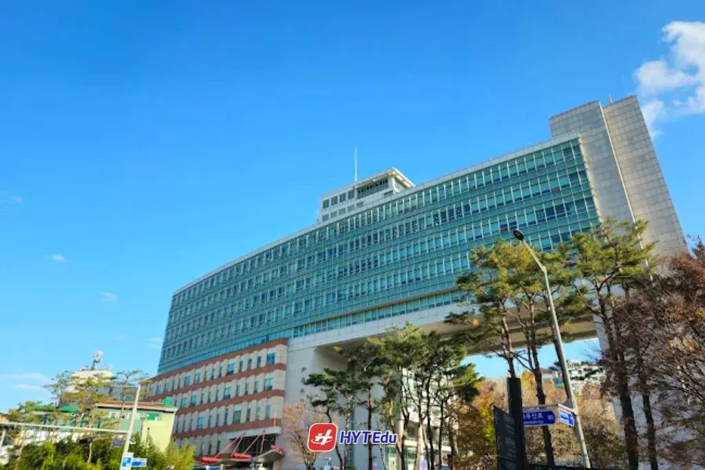 Danh sách trường TOP 1 tại Seoul 2026 (Chi tiết 16 trường) hongik university seoul