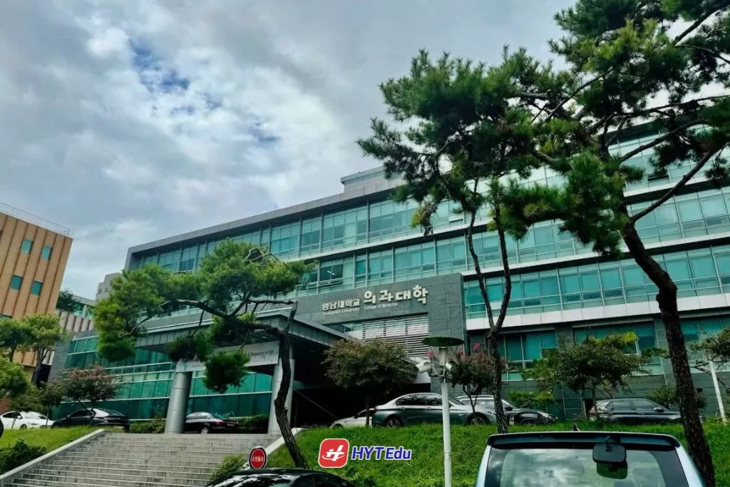 deadline hệ tiếng Yeungnam University 2026