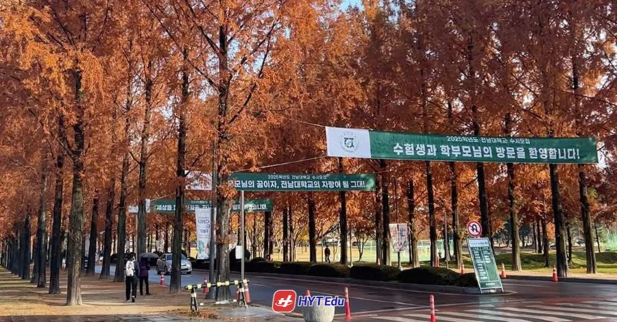 tuyển sinh D4-1 Chonnam National University 2026