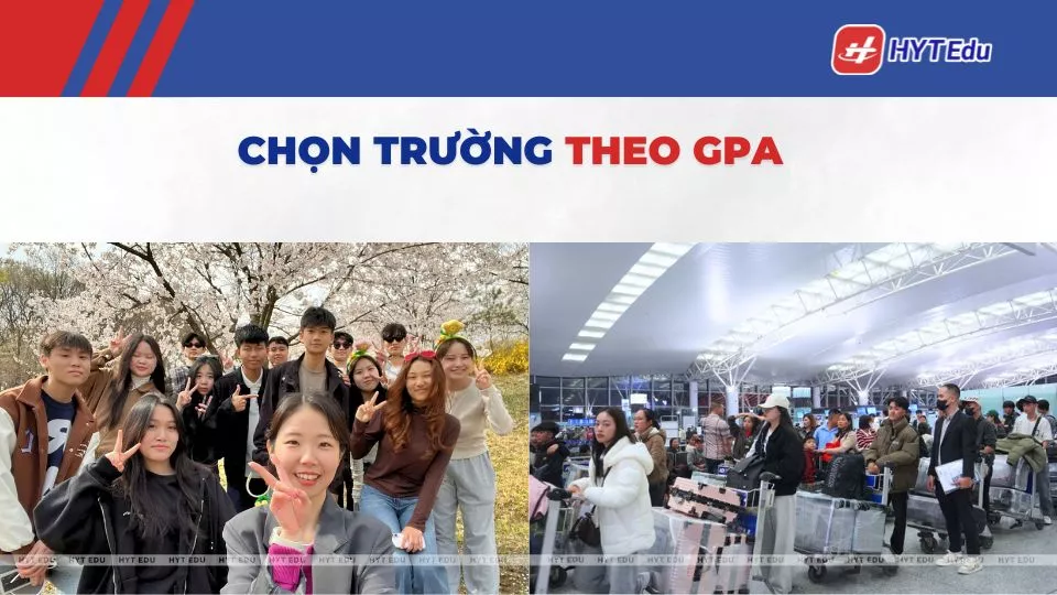 chọn trường top 1 hay top 2 theo GPA