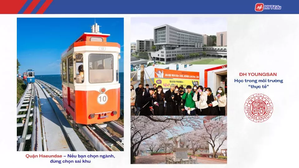 học phí đại học Youngsan Busan Haeundae