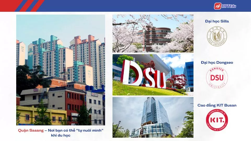 học phí các trường khu Sasang Busan logistics