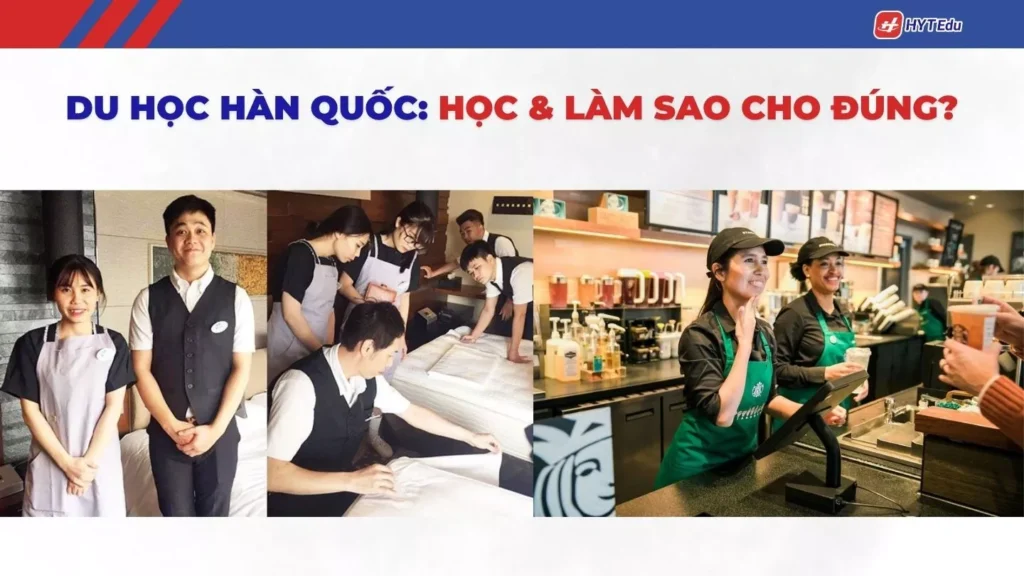 Kinh nghiệm làm thêm hợp pháp cho du học sinh D2 tại Hàn Quốc