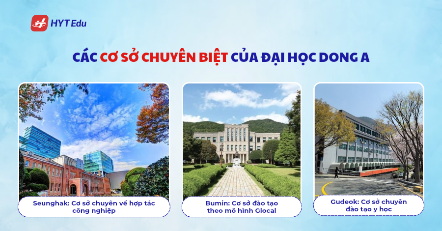 Đại học Dong A Thumnail blog HYT Edu 20250417 162914 0009
