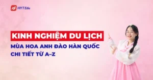 Kinh nghiệm du lịch mùa hoa anh đào Hàn Quốc